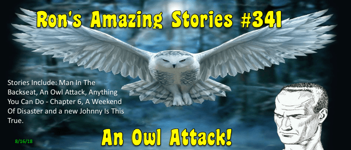 RAS #341 - An Owl Attack!