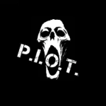 Paranormal Investigations & Observations Team