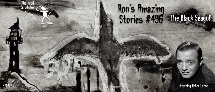 RAS #496 - The Black Seagull