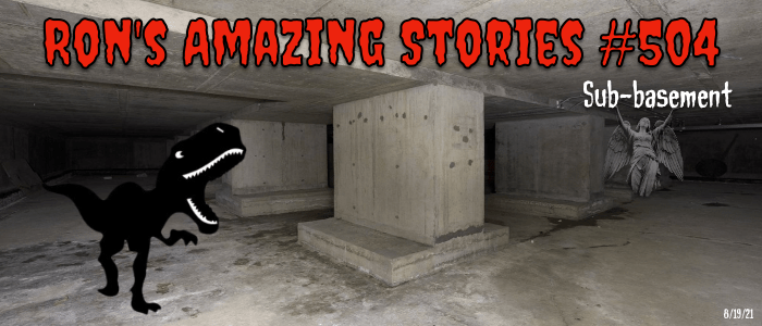 RAS #504 - Sub-Basement