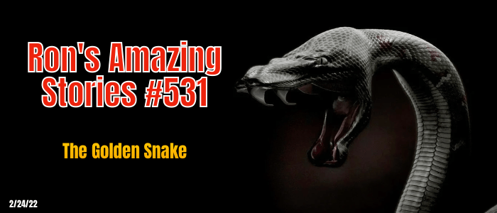 RAS #531 - The Golden Snake