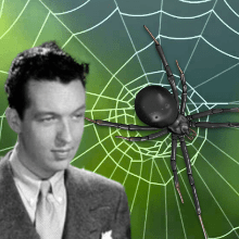 The Spider And The Fly