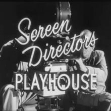 Screen Director's Playhouse